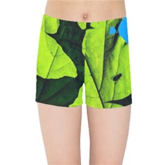 Window Of Opportunity Kids Sports Shorts by FunnyCow