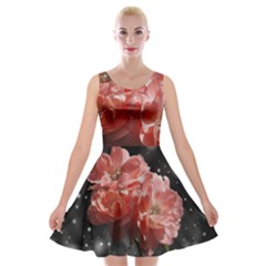 Rose 572757 1920 Velvet Skater Dress by vintage2030