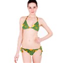 Background Design Texture Tulips Classic Bikini Set View3