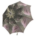 Vintage 1501529 1920 Hook Handle Umbrellas (Small) View2