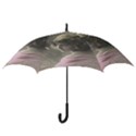 Vintage 1501529 1920 Hook Handle Umbrellas (Small) View3