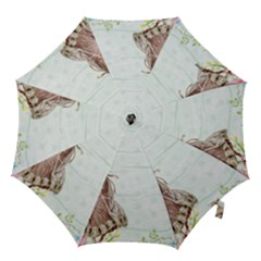 Background 1426677 1920 Hook Handle Umbrellas (medium) by vintage2030