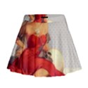 Retro 1107638 1920 Mini Flare Skirt View1