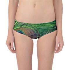 Peacock Feather Macro Peacock Bird Classic Bikini Bottoms