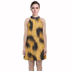 Animal Print 3 Velvet Halter Neckline Dress 