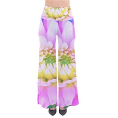 Pretty Pink, White And Yellow Cactus Dahlia Macro So Vintage Palazzo Pants