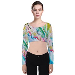 Art Abstract Abstract Art Velvet Long Sleeve Crop Top