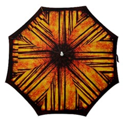 Forest Fire Forest Climate Change Straight Umbrellas