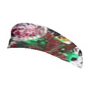 Dedelion Stretchable Headband View1