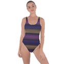 Stripes Pink Yellow Purple Grey Bring Sexy Back Swimsuit View1