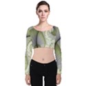 Graphic Fractal Eddy Curlicue Leaf Velvet Long Sleeve Crop Top View1