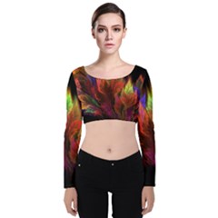 Abstract Digital Art Fractal Velvet Long Sleeve Crop Top