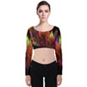 Abstract Digital Art Fractal Velvet Long Sleeve Crop Top View1