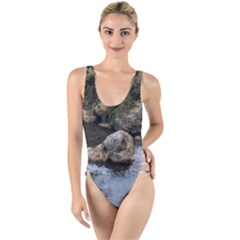 Garden Of The Phoenix High Leg Strappy Swimsuit