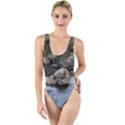Garden of the Phoenix High Leg Strappy Swimsuit View1