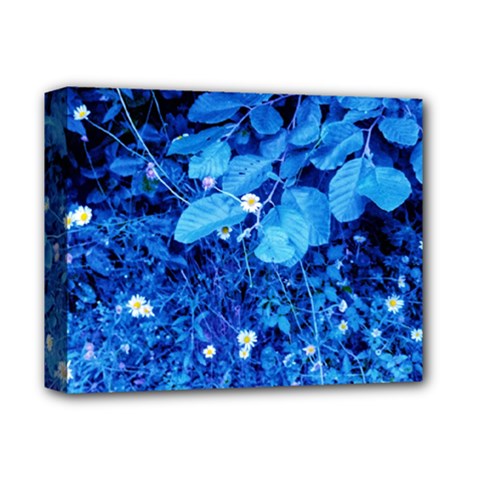 Blue Daisies Deluxe Canvas 14  X 11  (stretched) by okhismakingart