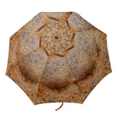 Shell Fossil Ii Folding Umbrellas
