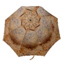 Shell Fossil II Folding Umbrellas View1