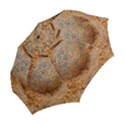 Shell Fossil II Folding Umbrellas View2