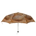 Shell Fossil II Folding Umbrellas View3
