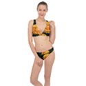 Yellow Rose Classic Banded Bikini Set  View1