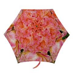 Folded Pink And Orange Rose Mini Folding Umbrellas by okhismakingart