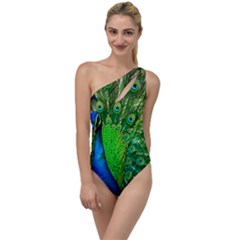 Peacock Peafowl Pattern Plumage To One Side Swimsuit