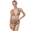 Daisy Tied Up Two Piece Swimsuit View1