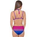 Bisexual Pride Flag Bi LGBTQ Flag Double Strap Halter Bikini Set View2