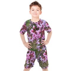 Redbud In April Kids  Tee And Shorts Set