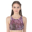 Fineleaf Japanese Maple in April Tank Bikini Top View1