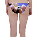 Pink Snowball Branch  Bikini Bottom View2