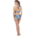 Surfboard With Dolphin Halter Side Cut Swimsuit View2
