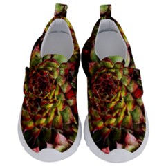 Plant Succulents Succulent Kids  Velcro No Lace Shoes