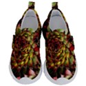 Plant Succulents Succulent Kids  Velcro No Lace Shoes View1