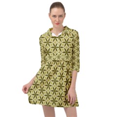 Green Star Pattern Mini Skater Shirt Dress by Alisyart
