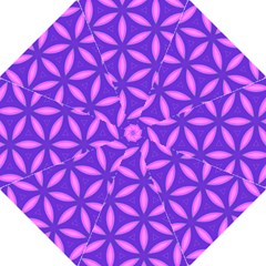 Purple Hook Handle Umbrellas (medium) by HermanTelo