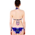 Artwork Art Fractal Flower Design Classic Bikini Set View2