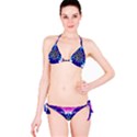 Artwork Art Fractal Flower Design Classic Bikini Set View3
