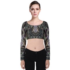 Digital Art Fractal Artwork Velvet Long Sleeve Crop Top