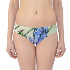 Blue Wildflowers Hipster Bikini Bottoms