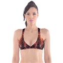 Img 20161211 112940 Plunge Bikini Top View1