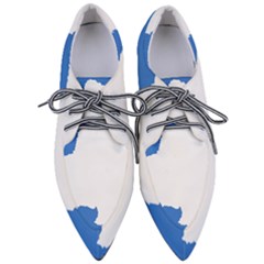 Proposed Flag Of Antarctica Pointed Oxford Shoes by abbeyz71