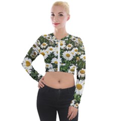 Columbus Commons Shasta Daisies Long Sleeve Cropped Velvet Jacket