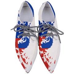 Flag Map Of Chilean Antarctic Territory Women s Pointed Oxford Shoes by abbeyz71