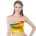 Color Concept Colors Colorful Tube Top View1
