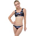 Grunge American Flag The Little Details Bikini Set View1