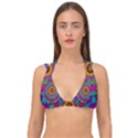 Fern  Mandala  In Strawberry Decorative Style Double Strap Halter Bikini Top View1