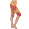Abstract 1296710 960 720 Lightweight Velour Cropped Yoga Leggings View3