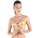 Argyle 909253 960 720 Tie Up Cut Bikini Top View1